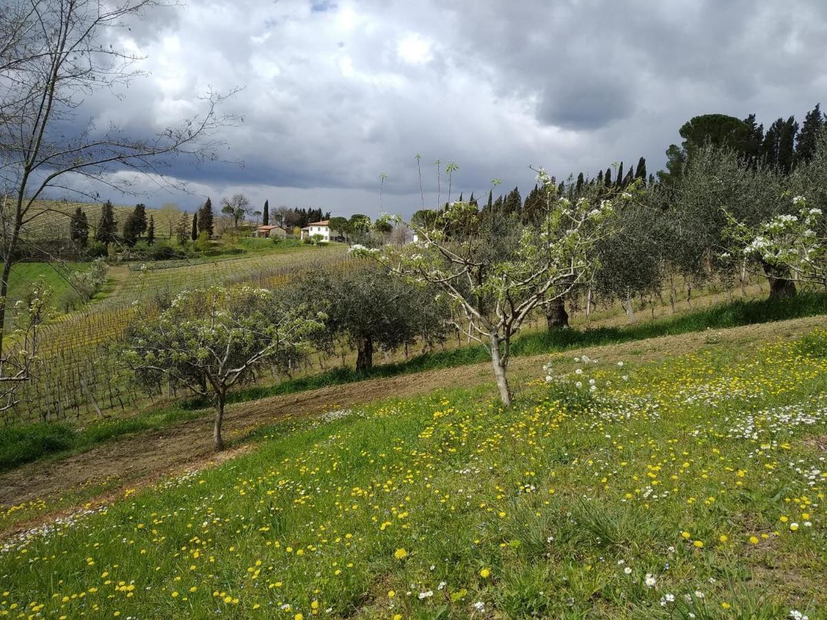 Agriturismo Ca'De'Gatti Faenza Eksteriør billede