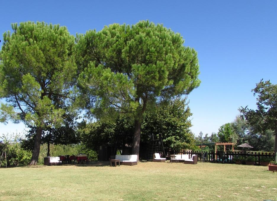Agriturismo Ca'De'Gatti Faenza Eksteriør billede