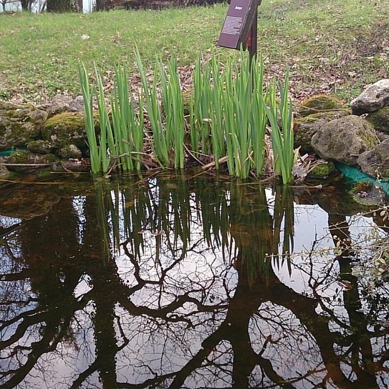 Agriturismo Ca'De'Gatti Faenza Eksteriør billede