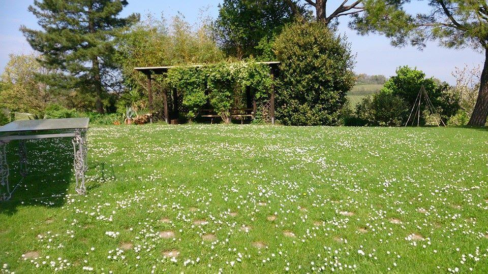 Agriturismo Ca'De'Gatti Faenza Eksteriør billede
