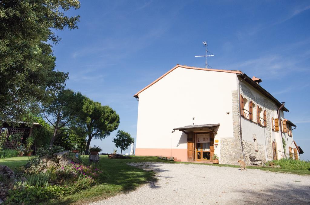 Agriturismo Ca'De'Gatti Faenza Eksteriør billede