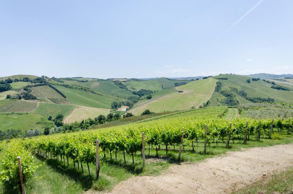Agriturismo Ca'De'Gatti Faenza Eksteriør billede