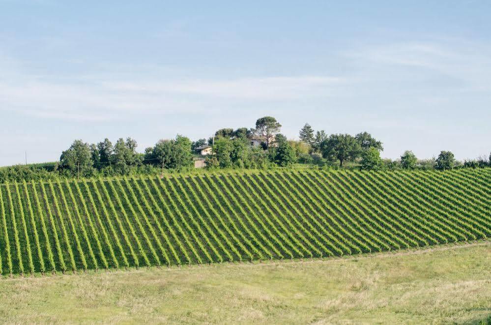 Agriturismo Ca'De'Gatti Faenza Eksteriør billede